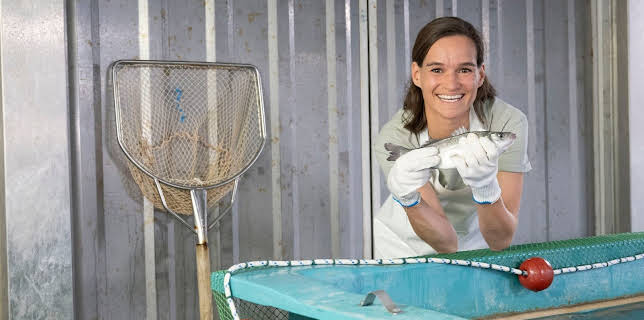 17:00: Land & lecker | WDR Fernsehen | 3/14 2026