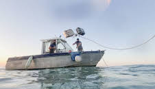 Der Kokain-Coup - Jagd nach dem großen Deal