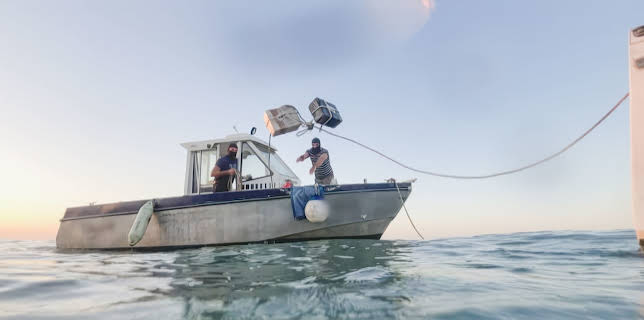 05:30: Der Kokain-Coup - Jagd nach dem großen Deal | ZDFinfo | 12/11 2025