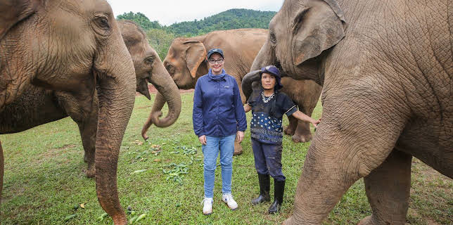 Sue Perkins: Discovering Thailand