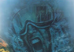 Operación Isla del Oso