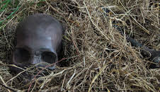 Nightmare Next Door (S5 E7)