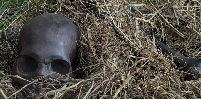 04:55: Nightmare Next Door (S5 E2) (S5) | Kanal 11 | 1/31 2026