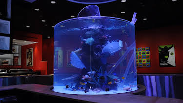 10:25: Tanked (S3 E3) (S3) | Animal Planet | 12/31 2025