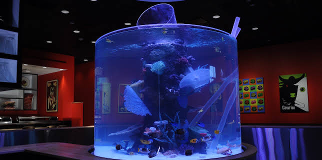 09:25: Tanked (S3 E3) (S3) | Animal Planet | 12/31 2025