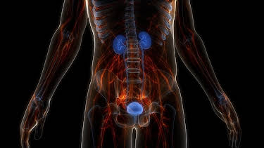 10:40: aktiv und gesund | SR Fernsehen | 3/31 2026