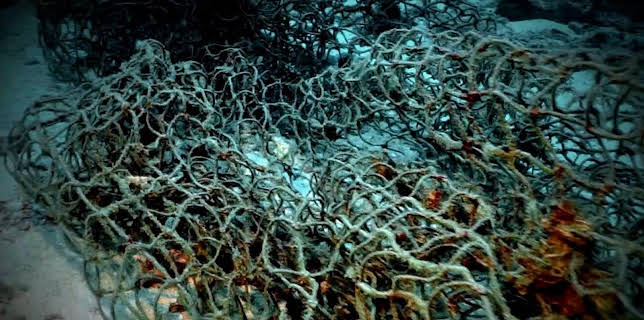 20:15: Unglaubliche Entdeckungen mit Danny Trejo | Kabel Eins Doku | 1/10 2026