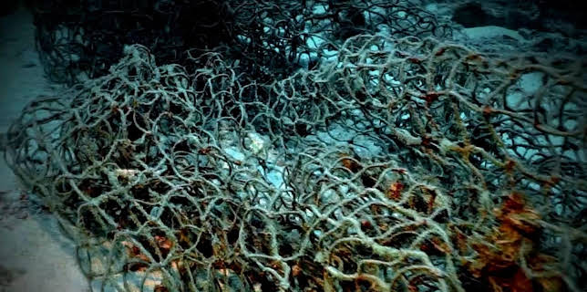 Unglaubliche Entdeckungen mit Danny Trejo