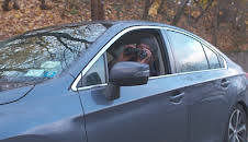 The Perfect Murder (S4 E3)