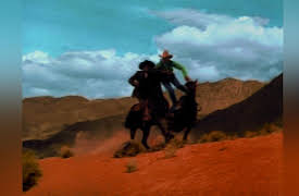 Young Duke: Rodeo Racketeers