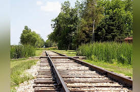 A New History of the American South: The Landscape of the New South