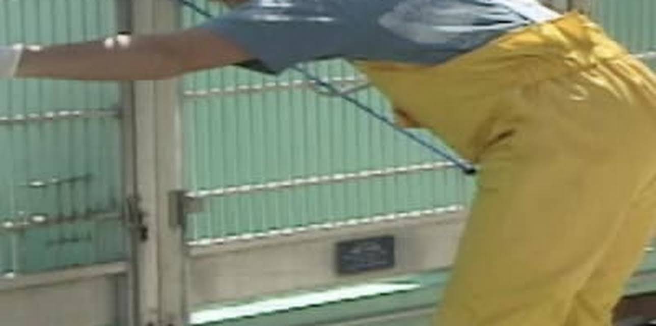 I Witness: Marine Mammals