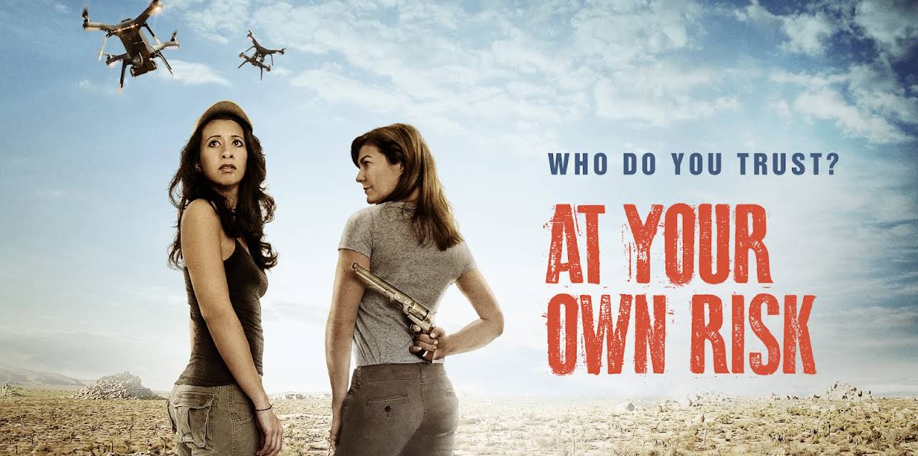At Your Own Risk (2020)