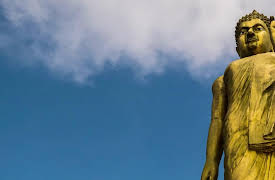 Forbidden Knowledge: Season 1: Forbidden Knowledge: Enigmas of our Ancient Past Revealed