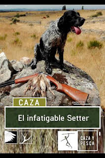 10:10: El infatigable Setter | Caza y Pesca | 3/3 2026