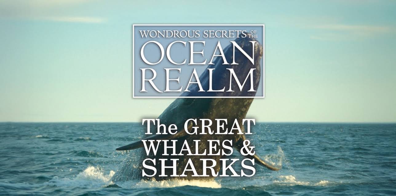 Wondrous Secrets of the Ocean Realm: The Great Whales & Sharks (2006)