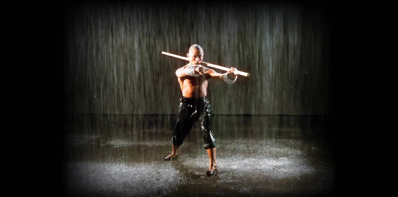 The 36th Chamber of Shaolin (1979)