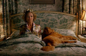 Pushing Daisies Season 1: Dummy