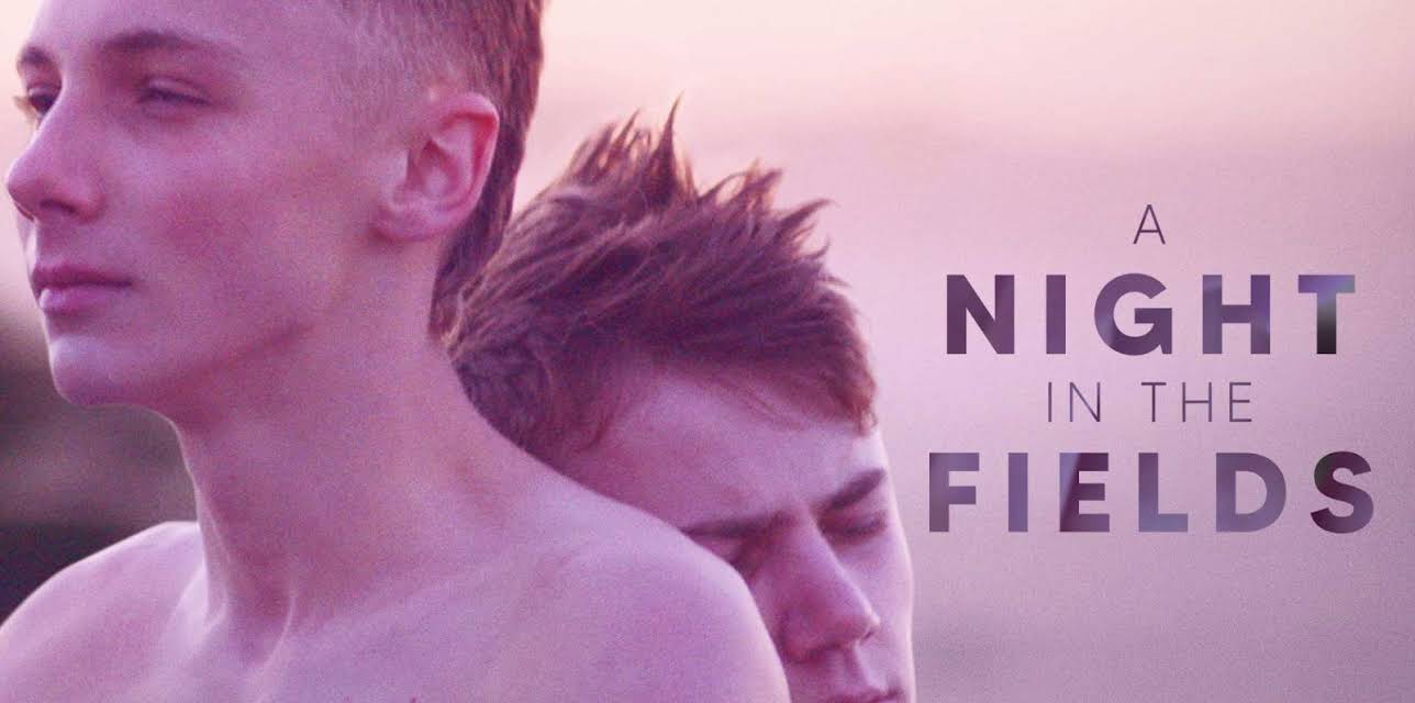 A Night in the Fields (2022)