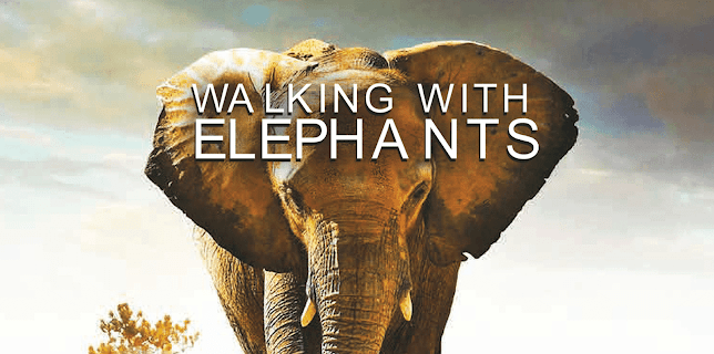 Walking with Elephants (2024)