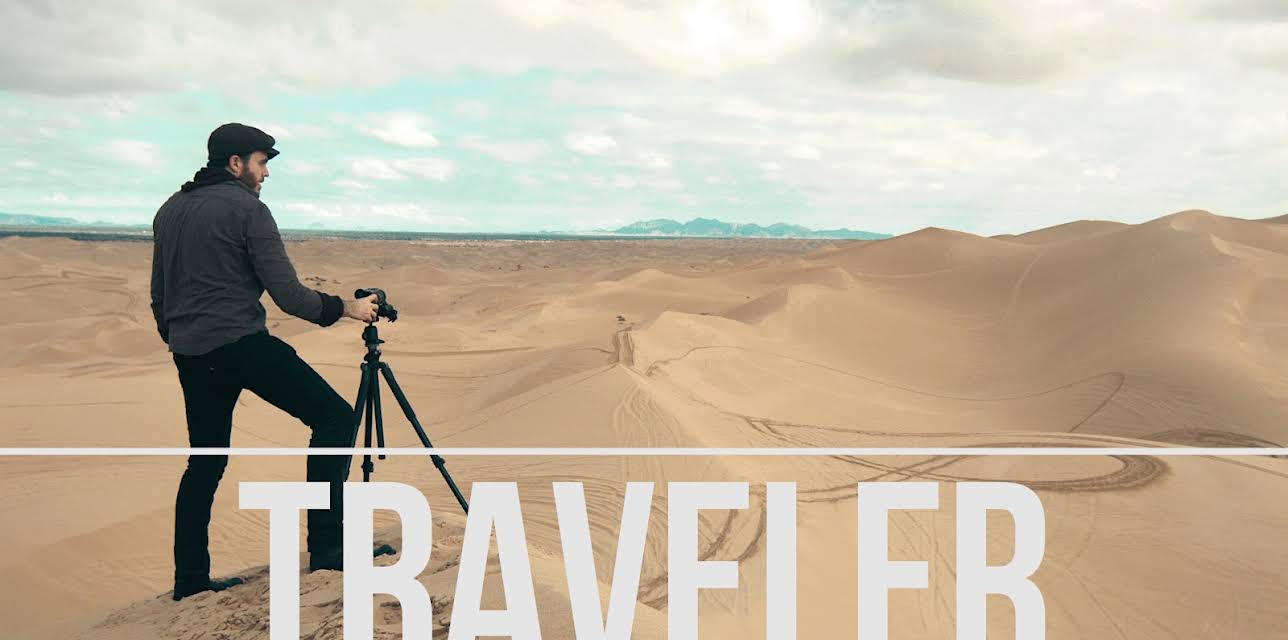 Traveler (2016)