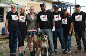 Amanda To The Rescue:  Mission To Puerto Rico