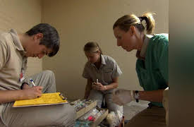 Zoo Vets Season 1: Claws, Paws and Fins