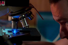 Onaturligt urval: Klipp, klistra, liv