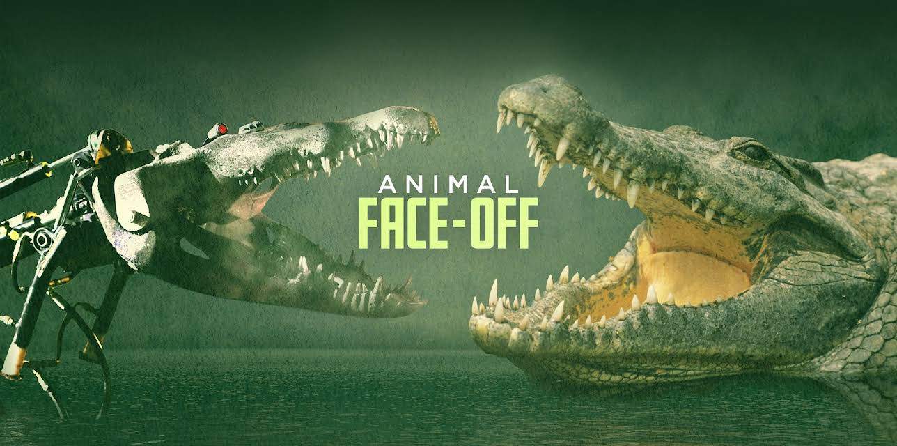 Animal Face-Off