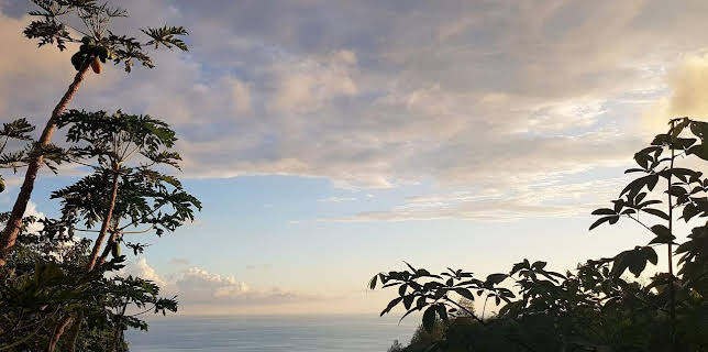 10:18: Die Insel La Réunion | Arte | 11/25 2025