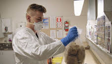 Border Patrol New Zealand