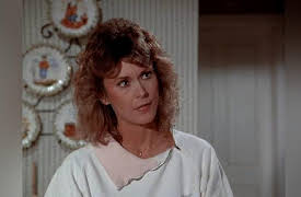 Scarecrow and Mrs. King Season 1: Magic Bus