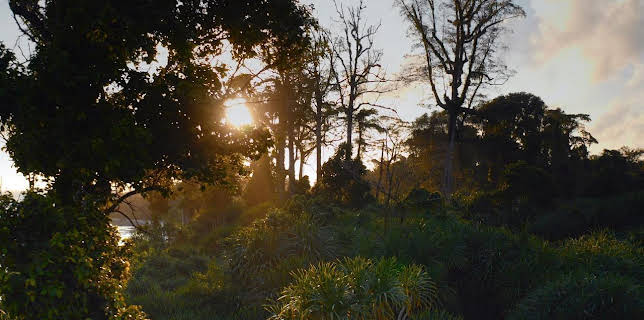 16:55: Die Nikobaren - Auferstehung eines Archipels | Arte | 1/15 2026