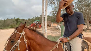 6:30 PM: Clive Myrie’s Caribbean Adventure (S1) | BBC Two | 9/14 2026