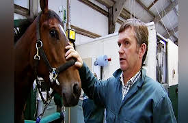 Vets in Action: Episode 8