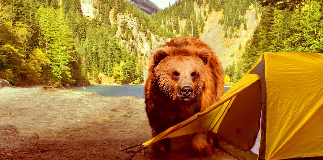 When Vacations Attack! Season 1