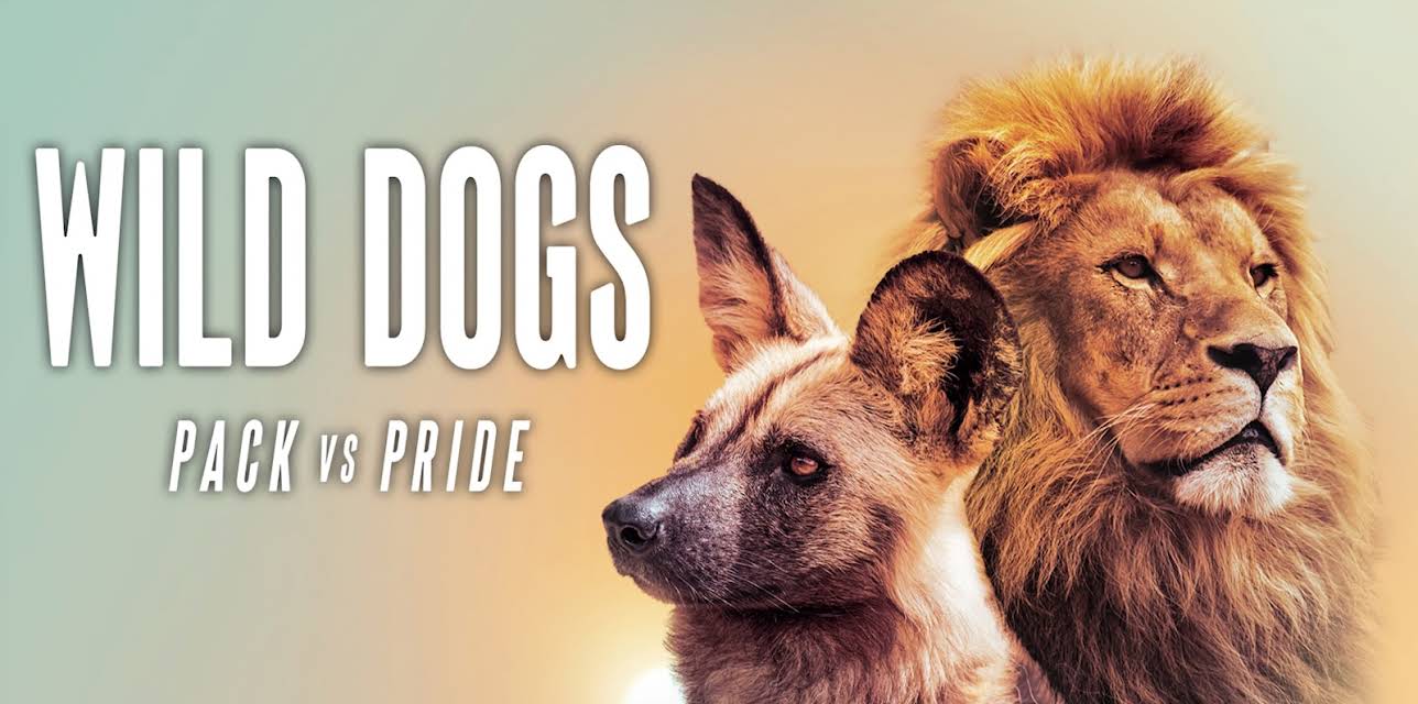 Wild Dogs: Pack Vs. Pride S1
