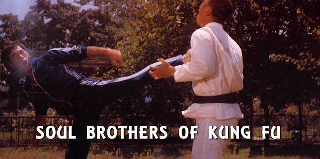 Soul Brothers Of Kung Fu (1977)