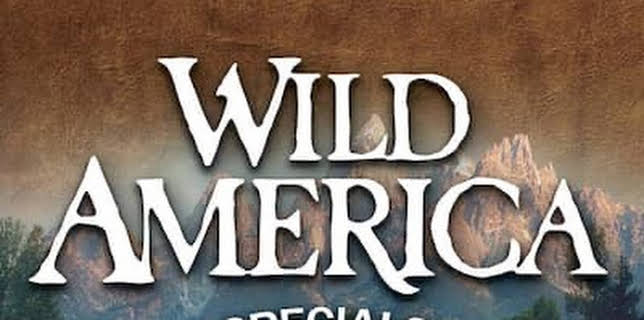 Wild America Specials: Tender Times (2000)
