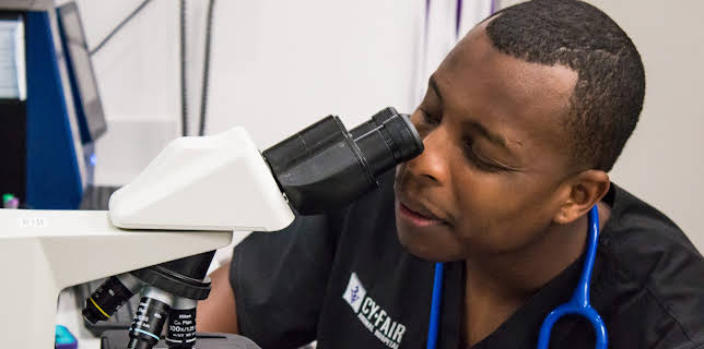 03:00: The Vet Life (S2 E1) (S2) | Animal Planet | 12/10 2025