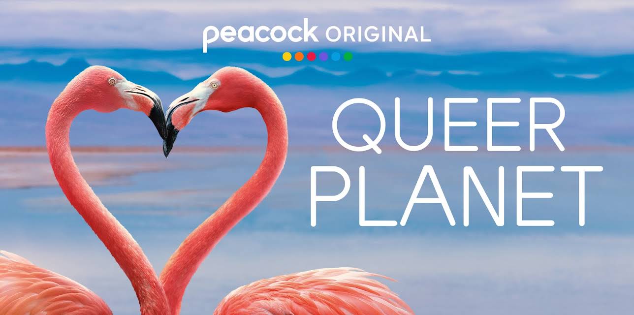 Queer Planet (2026)