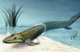A New History of Life: Tiktaalik - The Search for a Fishapod