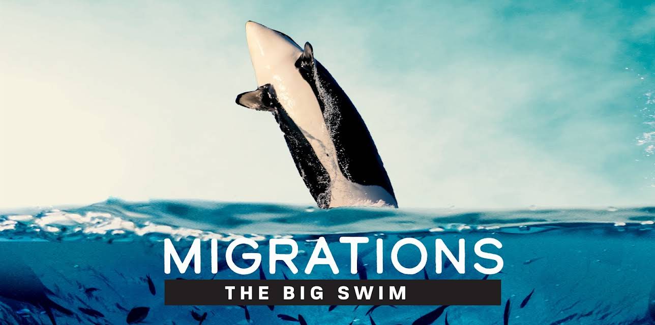 Migrations: The Big Swim (2026)