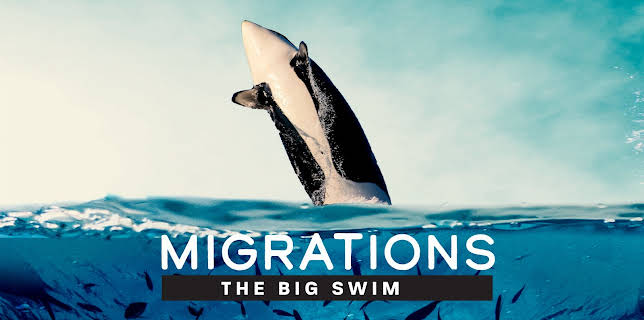 Migrations: The Big Swim (2026)