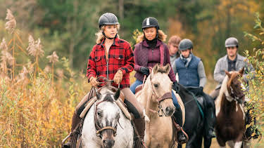 15:30: Reiterhof Wildenstein - Neuanfang | Das Erste | 4/4 2026