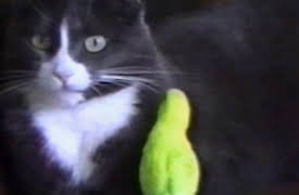 Funniest Pets and People: Season 1: Episode 225