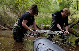 Wild Hope, Season 1: Beaver Fever