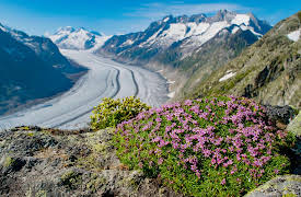 The Alps, Season 1: The High Life