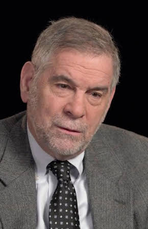 Michael Berenbaum as 