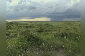 Expeditions With Patrick McMillan: The Great Plains, an Ever-changing Tapestry